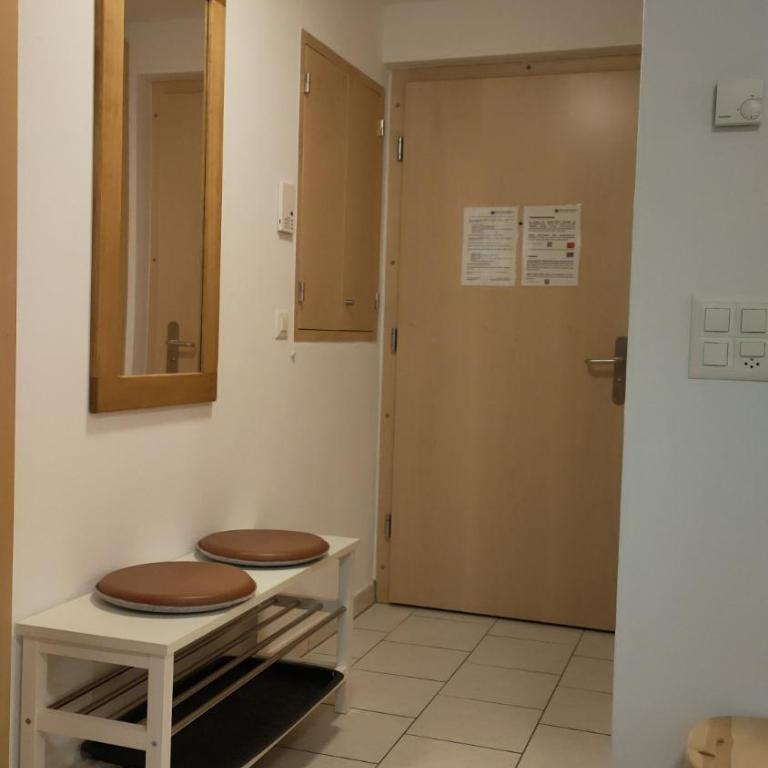 Studio au pied de la télécabine, SaastalCards Saas-Fee - Apartment mit 1 Schlafzimmer - 54