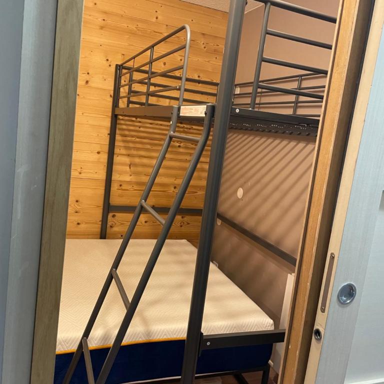 logement chaleureux 1 chamb pied des pistes - Appartement 1 Chambre - 15