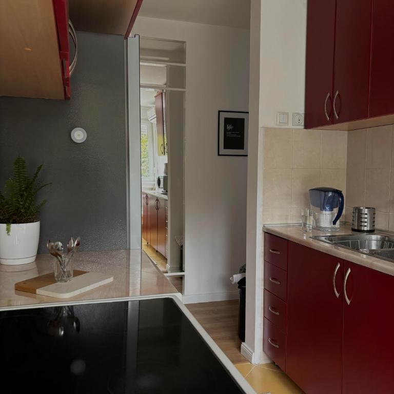 Bella Vista - Apartman sa 1 Spavaćom Sobom - 19