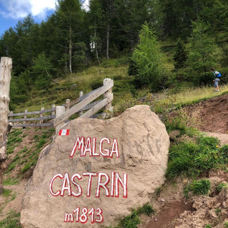 Appartamento Cologna - Appartamento con 1 Camera da Letto - 22