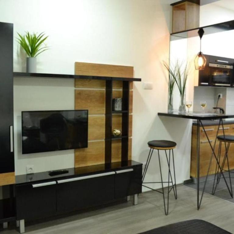 Skadarlija Suit 3 - Apartman sa 1 Spavaćom Sobom - 1