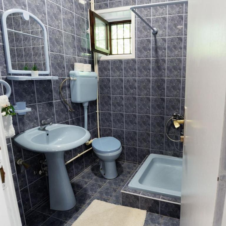 Vila Jevtic studio 4 - Apartman sa 1 Spavaćom Sobom - 10