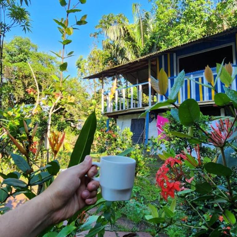 Wira Pora Hostal - Habitación Compartida Mixta - 3