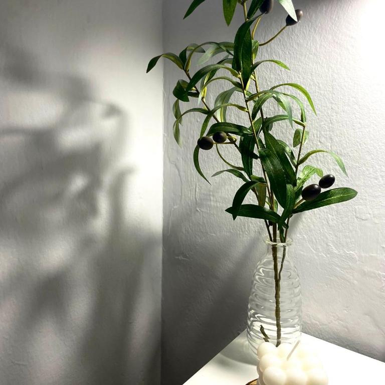 Apartamento Primavera Centro - Apartamento de 3 dormitorios - 21