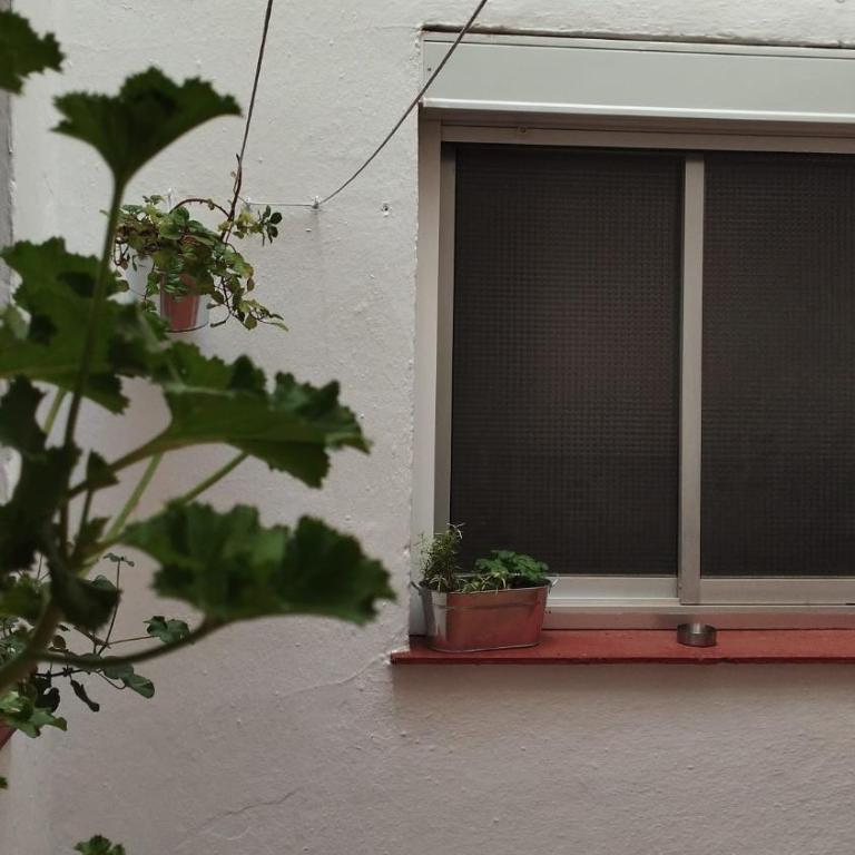 Apartamento Primavera Centro - Apartamento de 3 dormitorios - 13