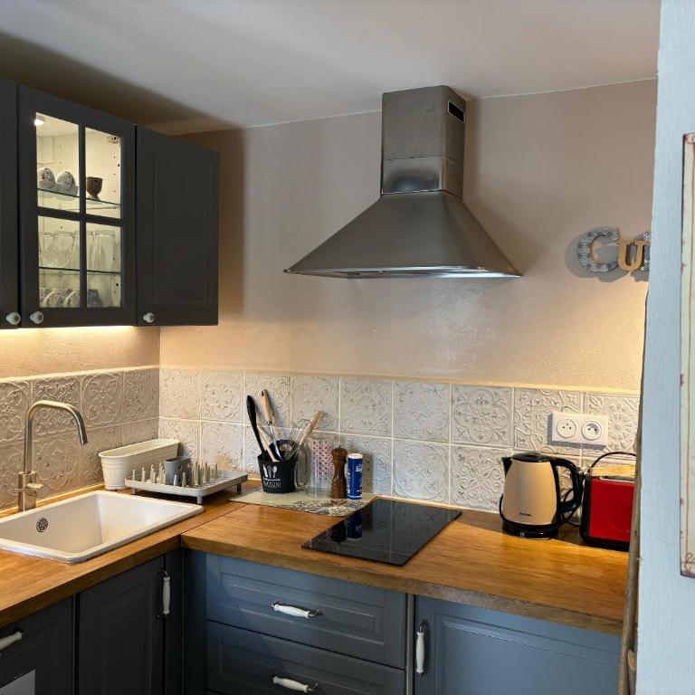 Le Petit Hureau - Appartement Jardin - 8