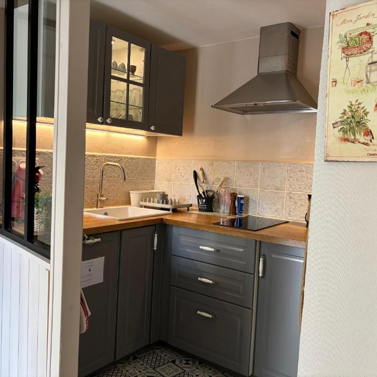 Le Petit Hureau - Appartement Jardin - 9