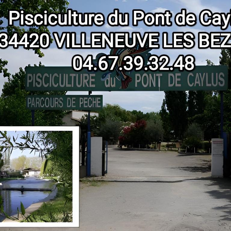 Tiny House 1, 2 ou 3 personnes SoeursGrises Béziers Centre Historique coeur de l'Hérault Occitanie, plus vieille ville de France, chemin de Compostelle à pied ou velo, passeport du pèlerin 24h, petits dejeuners et repas, 300m du centre ville - Maison 2 Chambres - 32