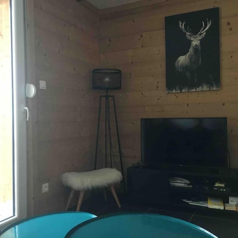 L'appart des familles sportives! - Appartamento con 2 Camere da Letto - 55