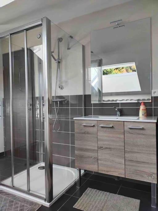 L'appart des familles sportives! - Appartamento con 2 Camere da Letto - 18