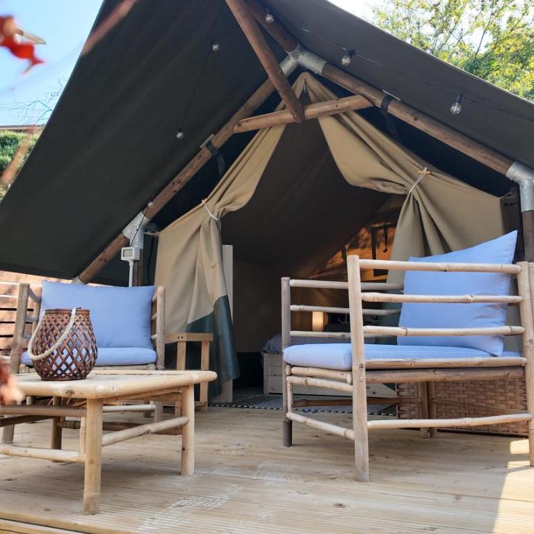 Kasa tenda safari Glamping - Tent - 10
