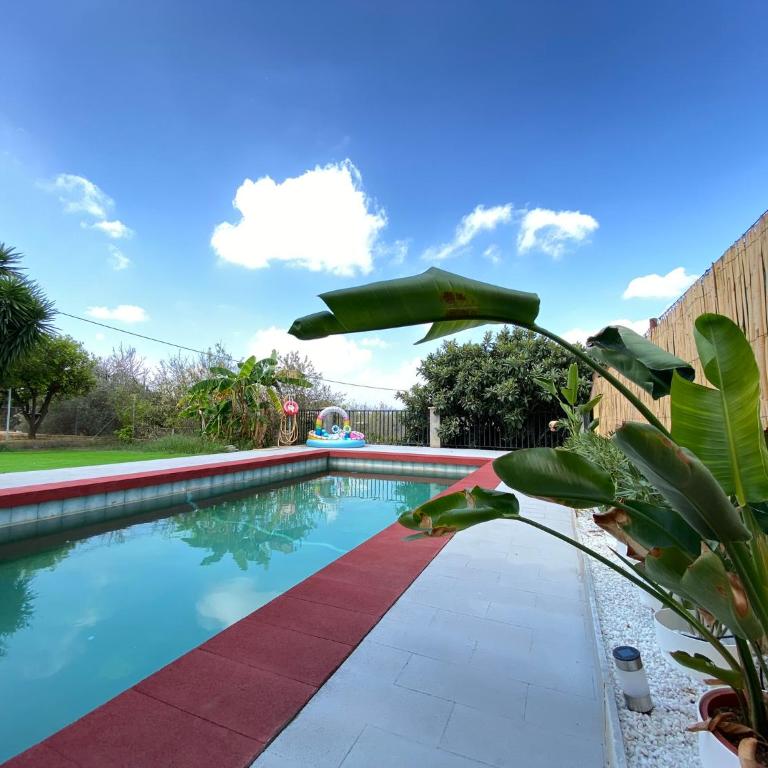 Guesthouse in Torrent - Double Room - 13