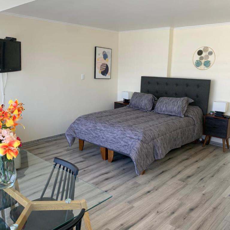 Loft con excelente ubicación en Viña del mar - Apartamento de 1 dormitorio - 5