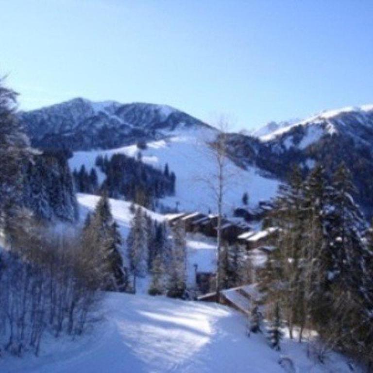 Appartement 2 pièces proche pistes avec balcon, animaux acceptés - FR-1-356-512 - Apartamento - 7