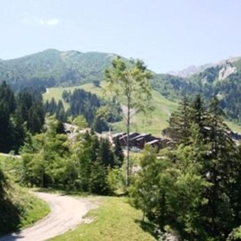 Appartement 2 pièces proche pistes avec balcon, animaux acceptés - FR-1-356-512 - Apartamento - 10
