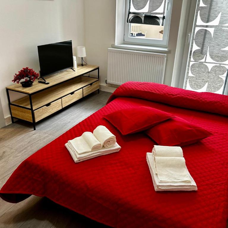 Luxury Allo Apartment in center of Udine - Appartamento con 2 Camere da Letto - 12