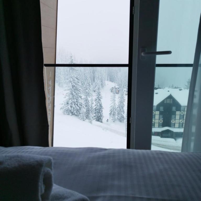 Aparthotel RAJSKA Jahorina - One-Bedroom Premium Apartment - 13