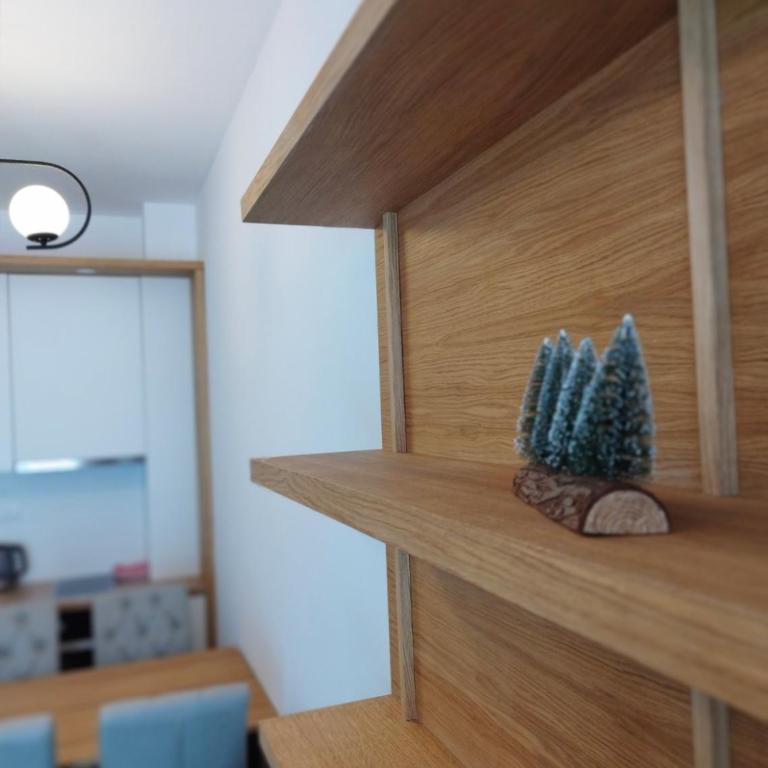 Aparthotel RAJSKA Jahorina - One-Bedroom Premium Apartment - 40