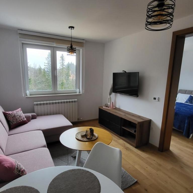 Apartman Laganin - Apartman sa 1 Spavaćom Sobom - 1