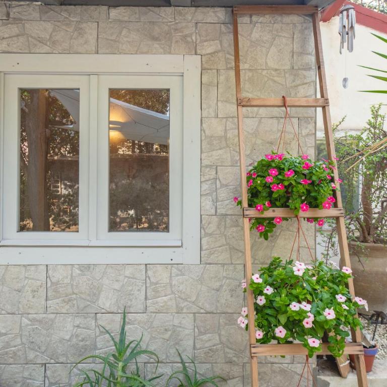 Appartamento vicino Humanitas e Ospedale San Marco - Holiday quiet - One-Bedroom House - 36