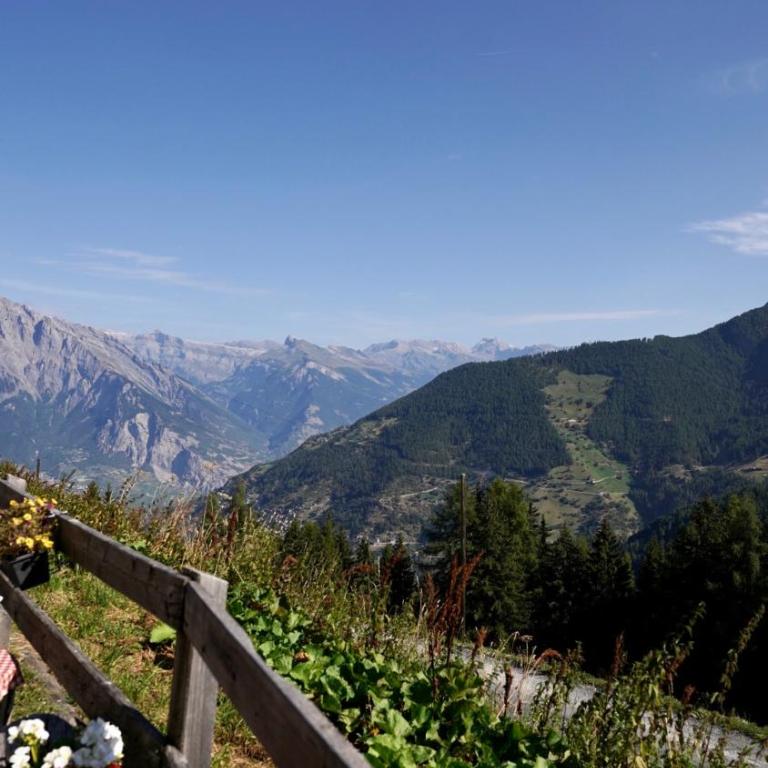 Charming 6 bed chalet in 4 Valleés - Chalet - 14