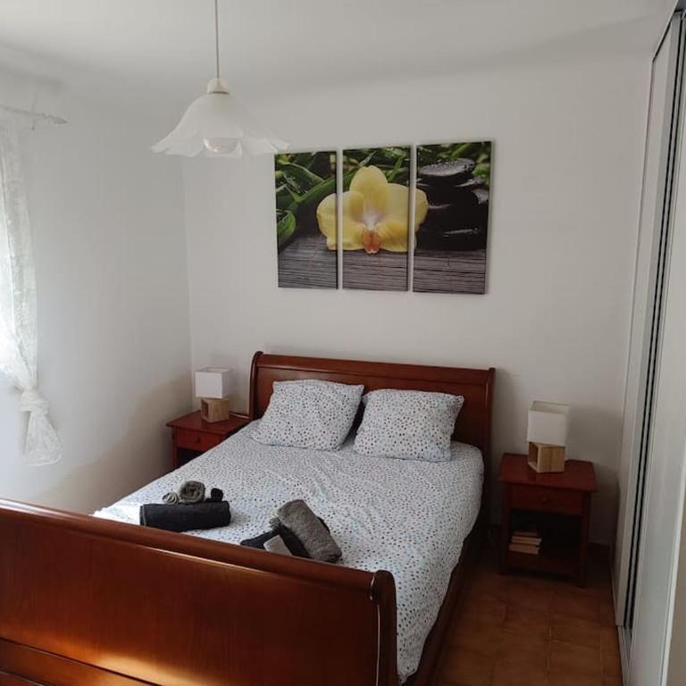 un coin paisible - Maison 1 Chambre - 1