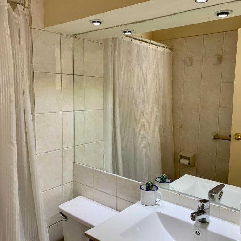 departamento barrio bellas artes - Apartamento de 1 dormitorio - 8