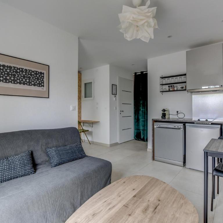 Les cactus bleus 35m2 , quartier des Minimes - Appartement 1 Chambre - 5