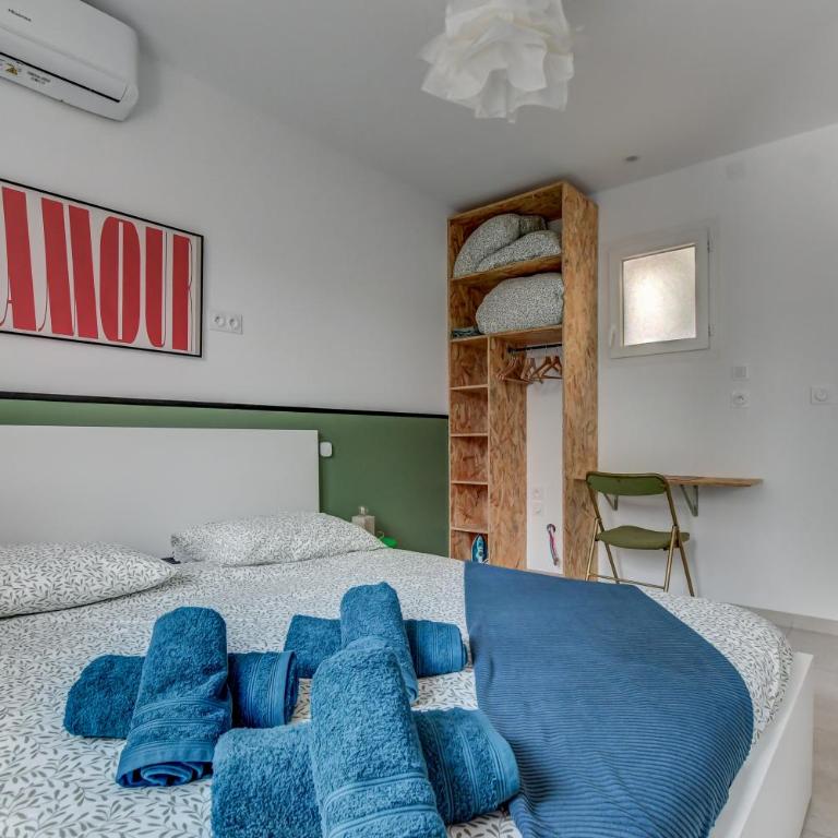 Les cactus bleus 35m2 , quartier des Minimes - Appartement 1 Chambre - 14