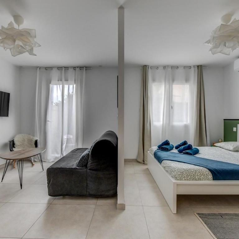 Les cactus bleus 35m2 , quartier des Minimes - Appartement 1 Chambre - 8