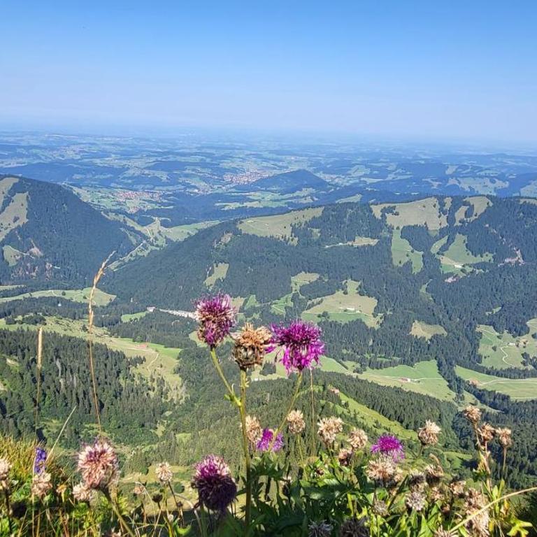 Exklusive FeWo AllgäuStern Steibis mit WLAN Sauna Kamin und Oberstaufen PLUS Card mit SKIPASS - Apartment mit 1 Schlafzimmer - 53
