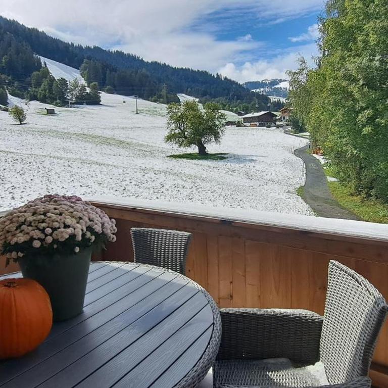 Das Kaiserwohl Chalet - Holiday Home with bathroom - 57