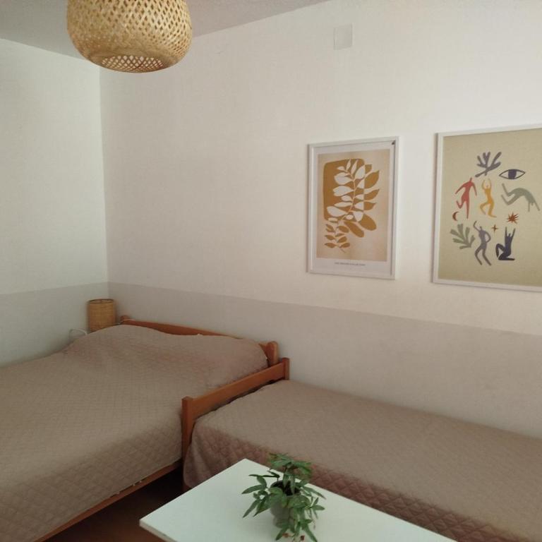 Apartmani Rakic - Apartman - Prizemlje - 9