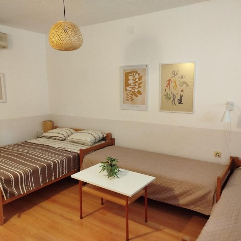 Apartmani Rakic - Apartman - Prizemlje - 10