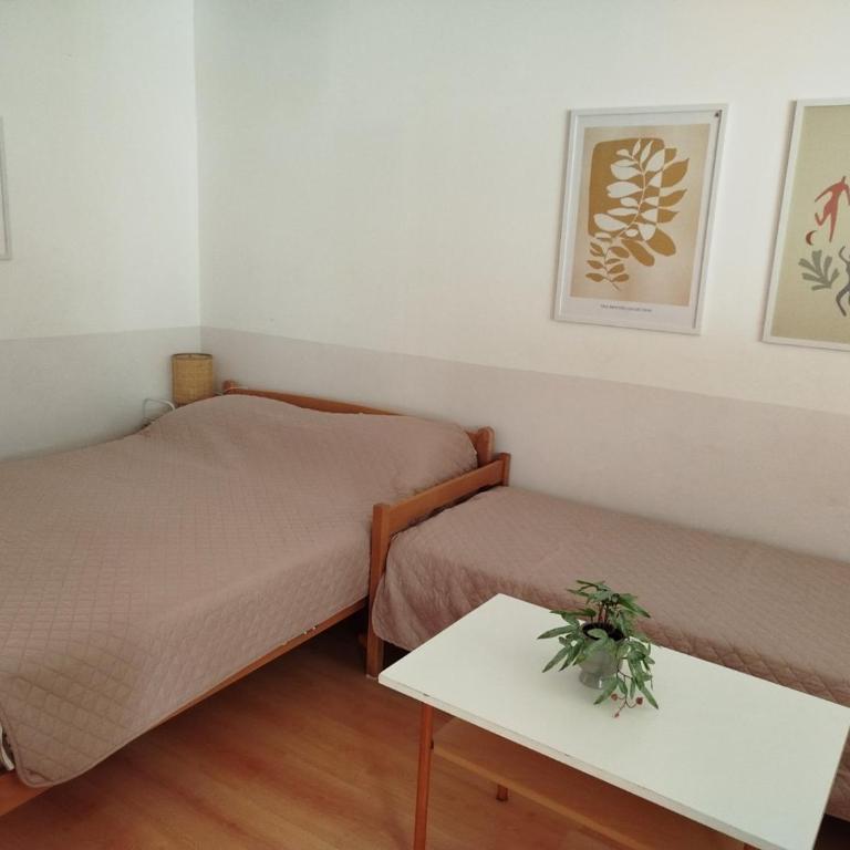 Apartmani Rakic - Apartman - Prizemlje - 11