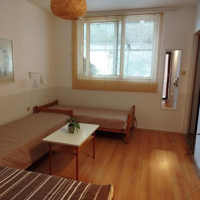 Apartmani Rakic - Apartman - Prizemlje - 12
