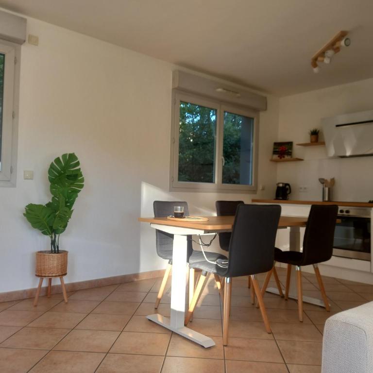 T2 de 56m2 - Genève à 5 min- Parking Privé Gratuit - Appartement 1 Chambre - 9