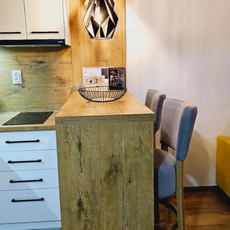 Vila Jahor - Apartmani Trifković - Apartman sa 1 Spavaćom Sobom - 9