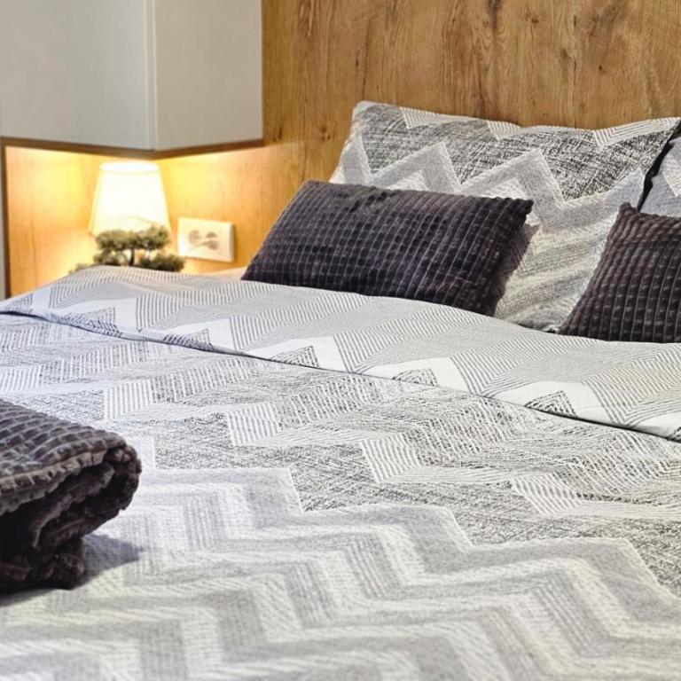 Vila Jahor - Apartmani Trifković - One-Bedroom Apartment - 19