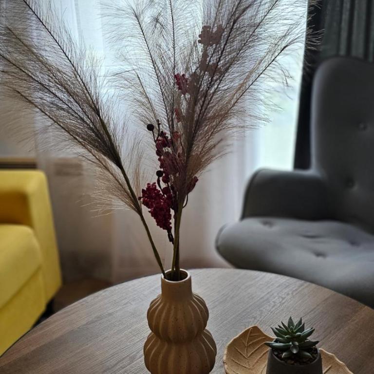 Vila Jahor - Apartmani Trifković - One-Bedroom Apartment - 15