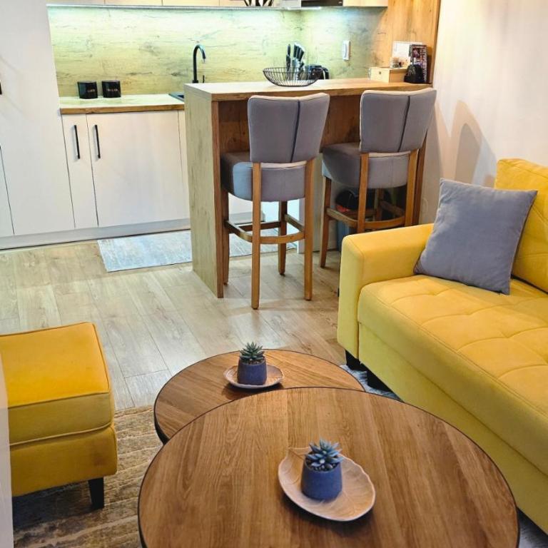 Vila Jahor - Apartmani Trifković - One-Bedroom Apartment - 6