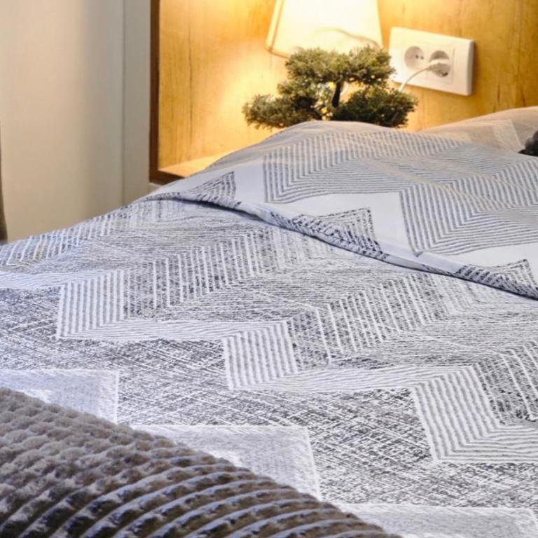 Vila Jahor - Apartmani Trifković - One-Bedroom Apartment - 18