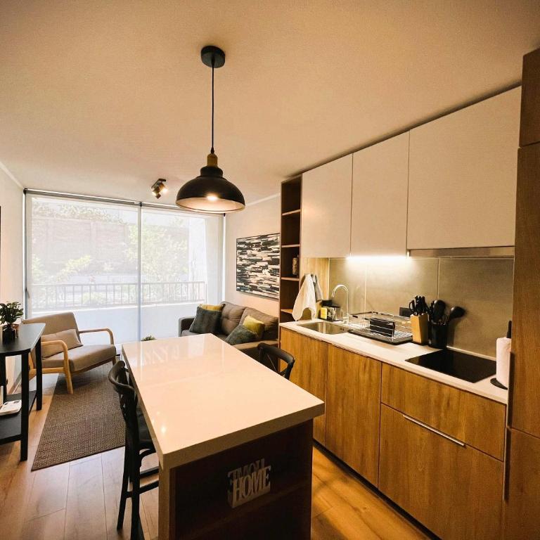 HOM I Amplio y Comodo Depto 1D1B 2PAX Santiago - Apartamento - 11
