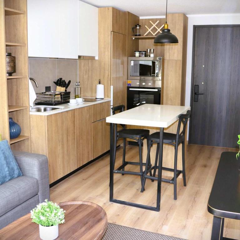 HOM I Amplio y Comodo Depto 1D1B 2PAX Santiago - Apartamento - 23