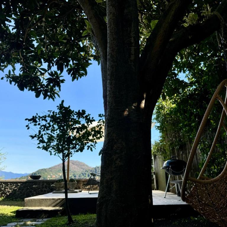 Rest and Relax Arona - On the lake - Appartamento con 1 Camera da Letto - 37