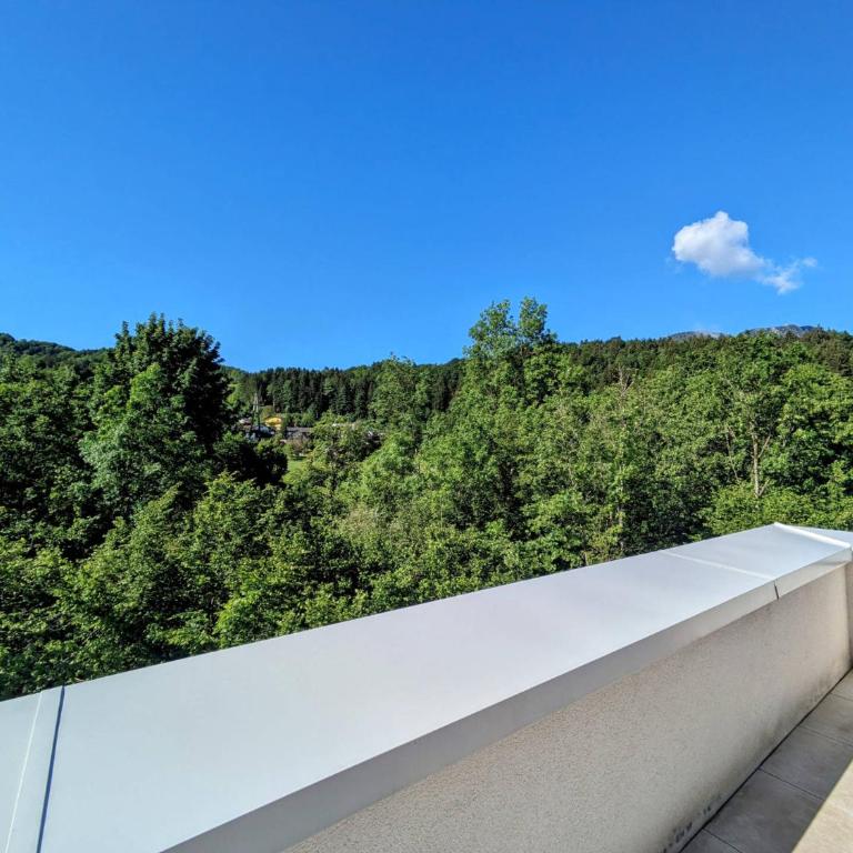 Penthouse Bergblick Salzkammergut - Apartment mit 2 Schlafzimmern - 9