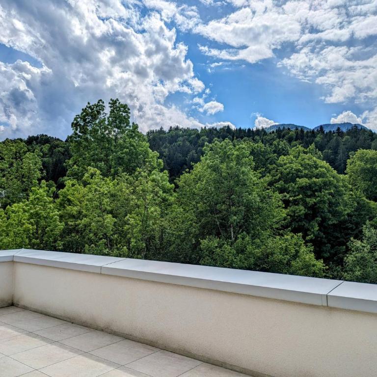 Penthouse Bergblick Salzkammergut - Apartment mit 2 Schlafzimmern - 11