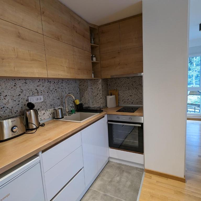 Teo Divčigora - Apartman sa 1 Spavaćom Sobom - 23