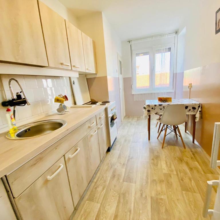 dr Genius - Apartman sa 1 Spavaćom Sobom - 1