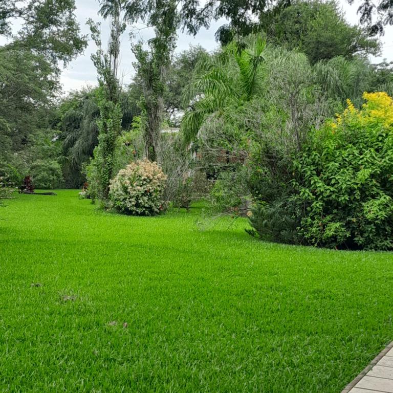 El Guerrero Club de Campo - Two-Bedroom House - 10